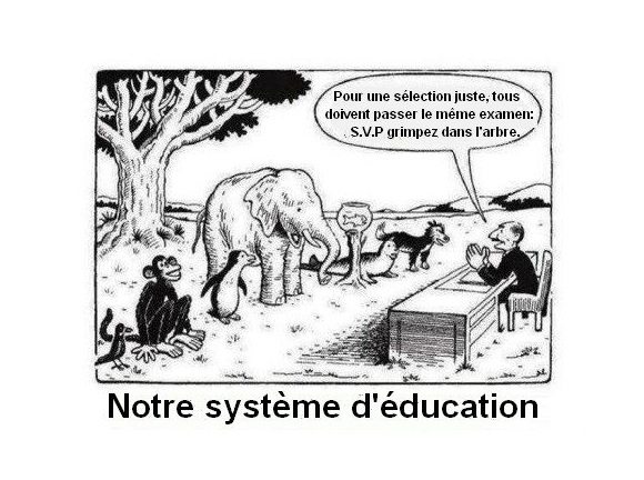France Education